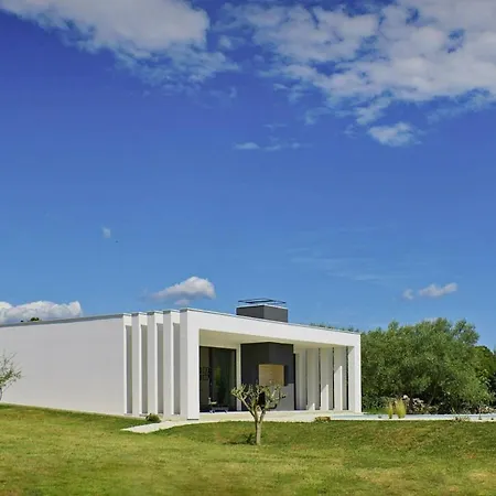 Villa Vinci In Smoljanci *